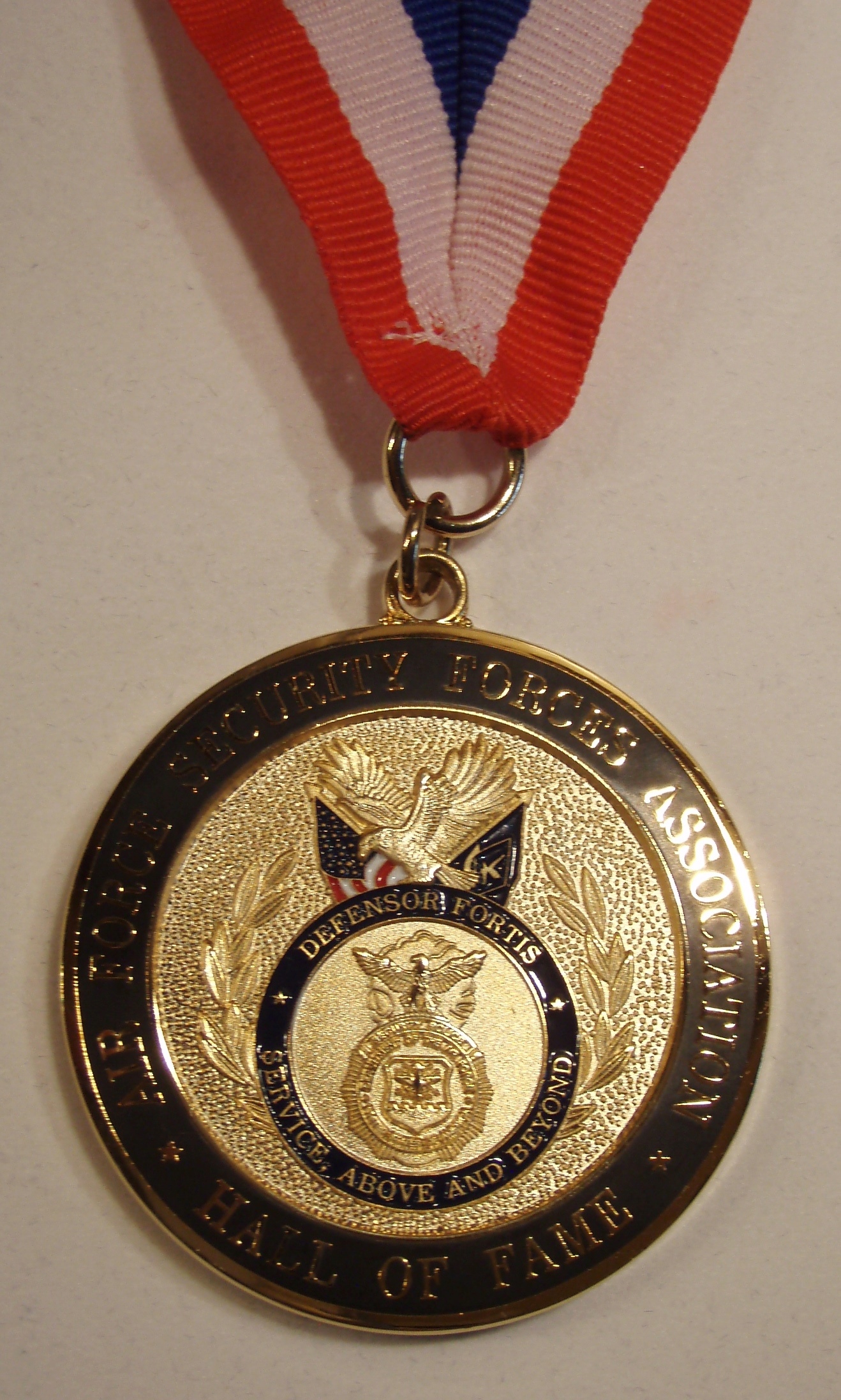 AFSFA HoF Medallion