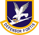 USAF_Security_Forces_beret_flash.jpg
